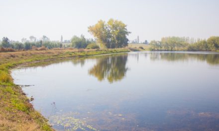 Asociación Canal Maule advierte que Reforma  al Código de Aguas perjudicará a los agricultores